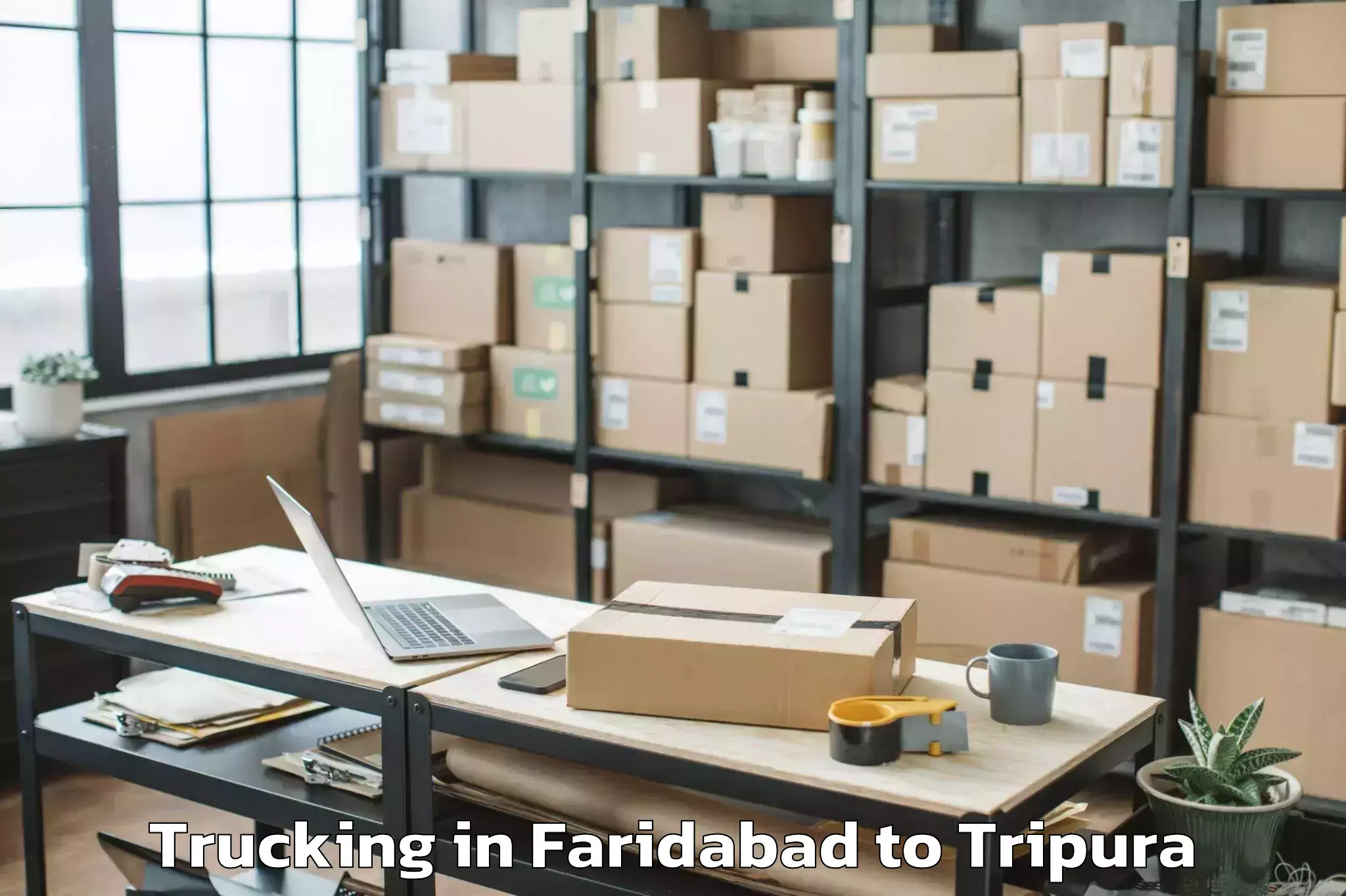 Get Faridabad to Agartala Trucking